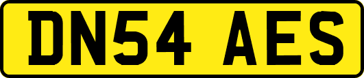 DN54AES