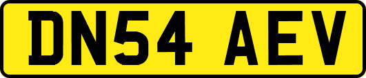 DN54AEV