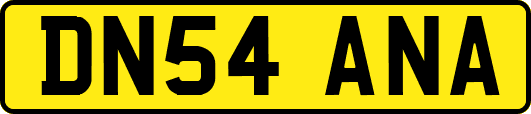 DN54ANA