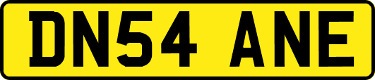 DN54ANE