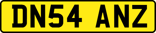 DN54ANZ