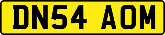 DN54AOM