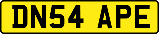 DN54APE