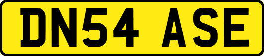 DN54ASE