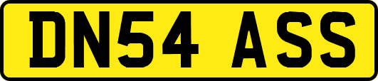 DN54ASS