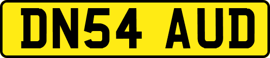 DN54AUD