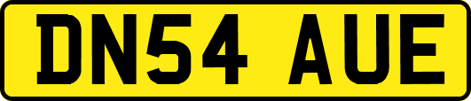 DN54AUE