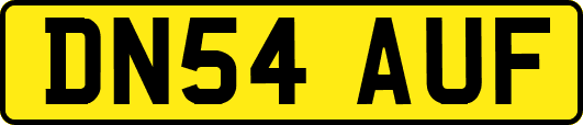 DN54AUF