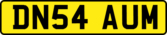 DN54AUM
