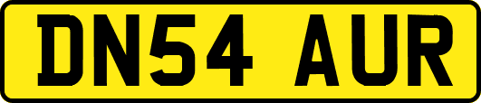DN54AUR