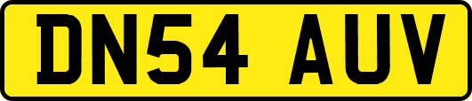 DN54AUV