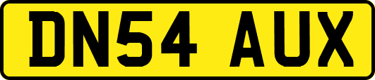 DN54AUX