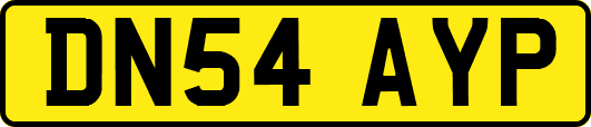 DN54AYP