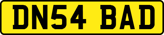 DN54BAD