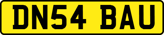 DN54BAU