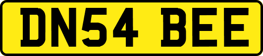 DN54BEE