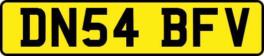 DN54BFV