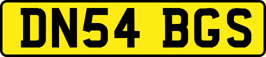 DN54BGS