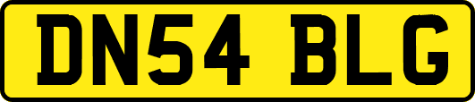 DN54BLG