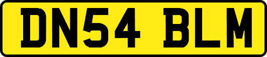 DN54BLM