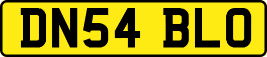 DN54BLO