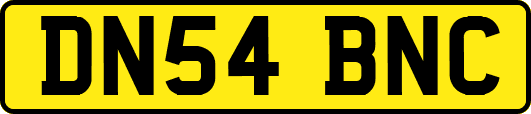 DN54BNC