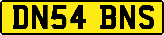 DN54BNS