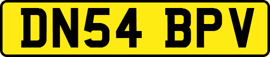 DN54BPV