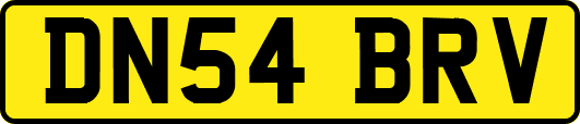 DN54BRV