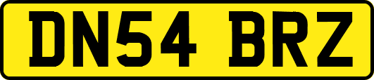 DN54BRZ