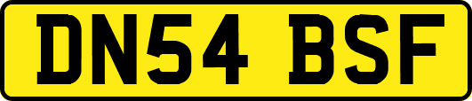 DN54BSF