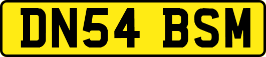 DN54BSM