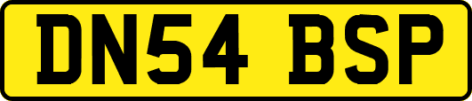 DN54BSP