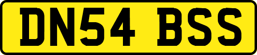 DN54BSS