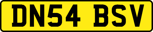 DN54BSV