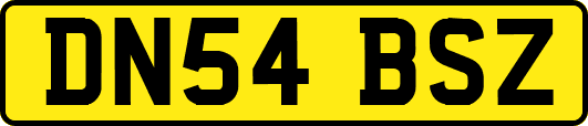DN54BSZ