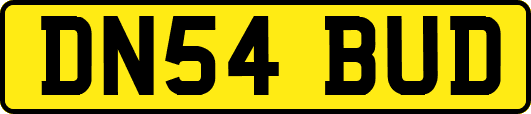 DN54BUD
