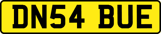 DN54BUE
