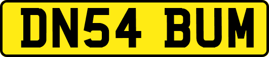 DN54BUM