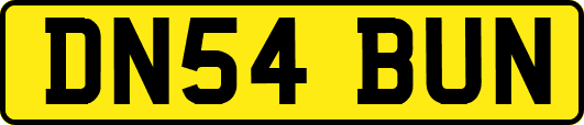 DN54BUN