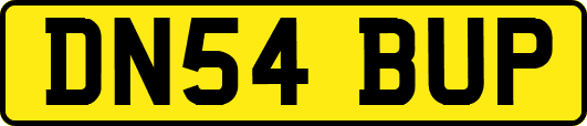 DN54BUP