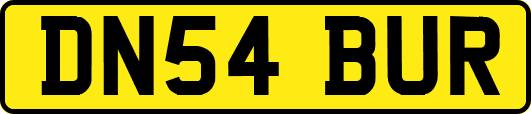 DN54BUR