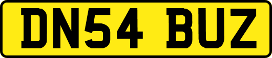 DN54BUZ