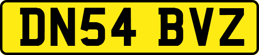 DN54BVZ
