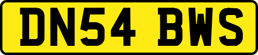DN54BWS