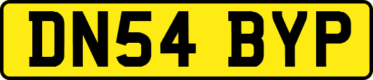 DN54BYP