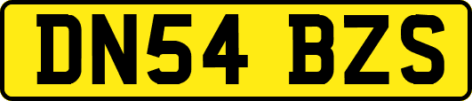 DN54BZS