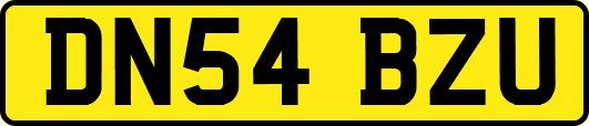 DN54BZU