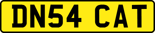 DN54CAT