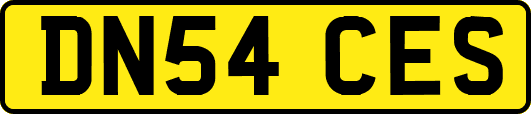 DN54CES